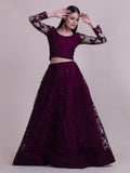 Elegant Wine Purple Sequin Embroidered Festive & Wedding Wear Semi-Stitched Net Lehenga Choli