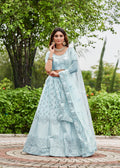 Elegant Peach Embroidered Festive & Wedding Wear Semi-Stitched Net Lehenga Choli with Heavy Dupatta Work