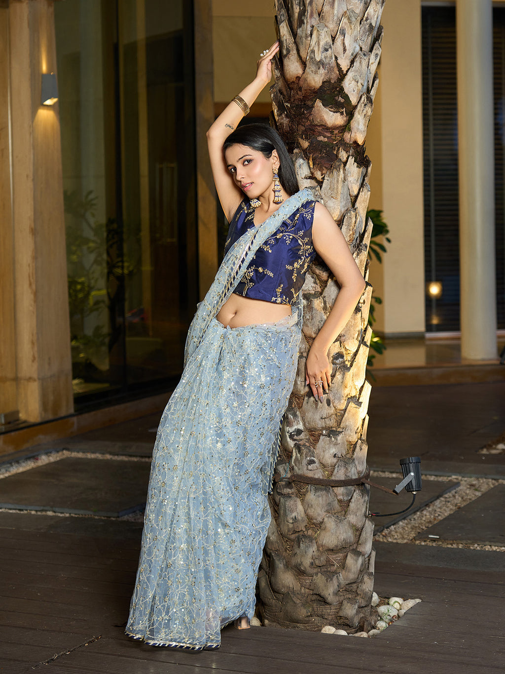 Grey Net Saree