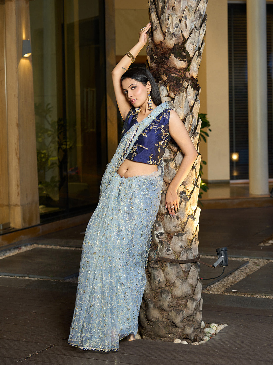 Grey Net Saree